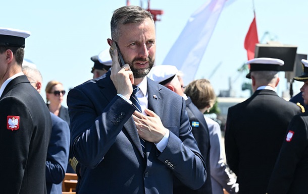 Польські винищувачі МіГ-29 на аеродромі
